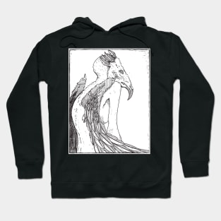 Raven Hoodie